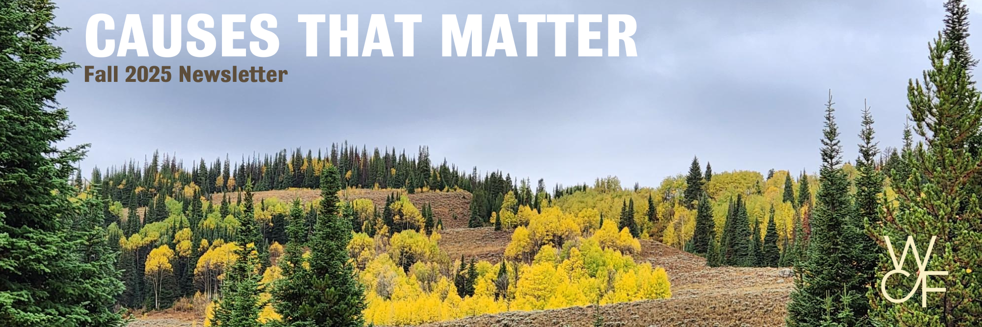 Fall Newsletter Blog Header